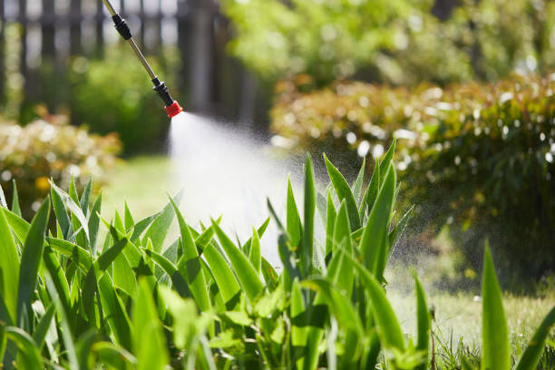 Tamper-Resistant Bait Stations for Rodents in Crestwood