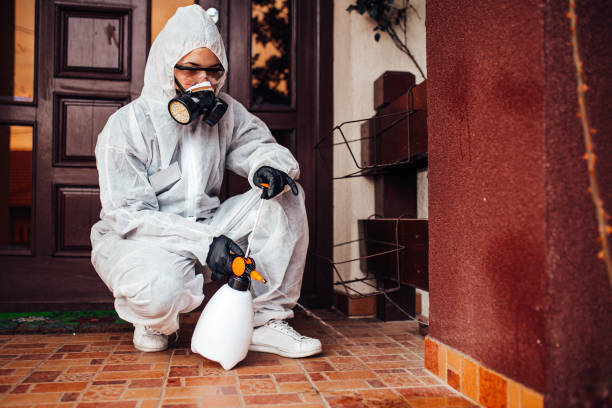 Attic and Crawl Space Rodent Treatment in Crestwood